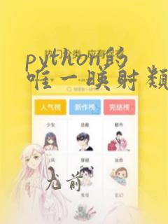 python的唯一映射类型