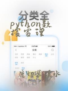 python数据处理