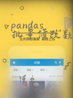 pandas 批量修改数据