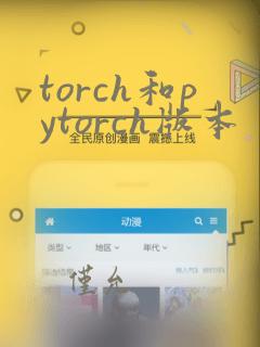 torch和pytorch版本