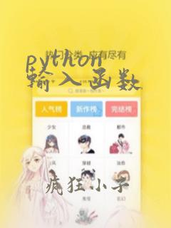 python 输入函数