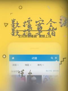 数据安全法中的数据是指