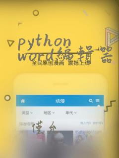 python word编辑器