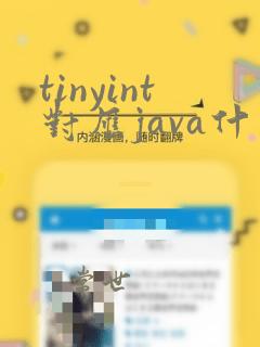 tinyint对应java什么类型