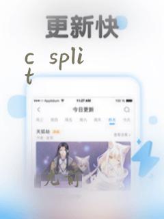 c  split
