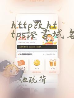 http改https证书域名