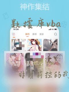 数据库vba