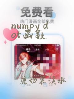 numpy dot函数
