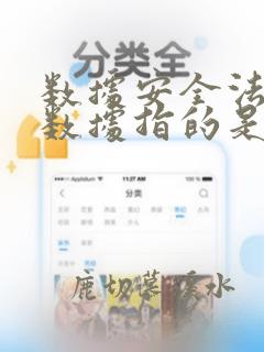 数据安全法中的数据指的是