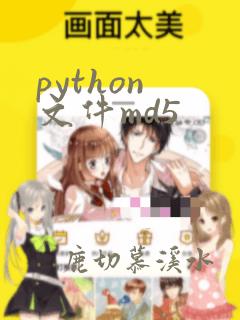 python 文件md5