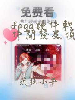 fpga硬件软件开发及项目开发