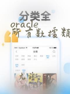 oracle 所有数据类型