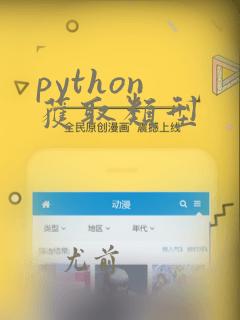 python 获取类型
