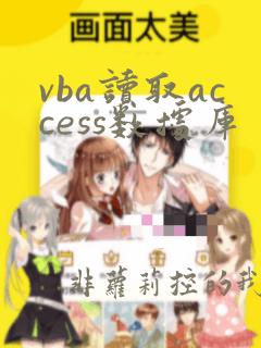 vba读取access数据库