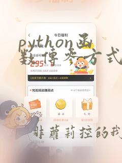 python函数传参方式