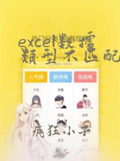 excel数据类型不匹配