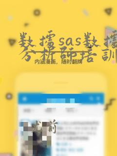 数据sas数据分析师培训