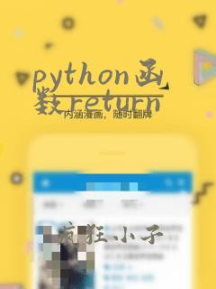 python函数return