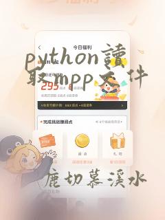 python读取mpp文件