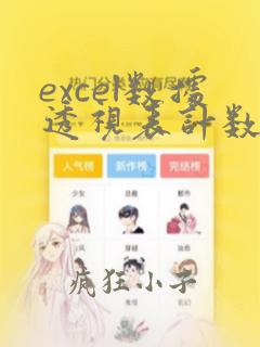 excel数据透视表计数