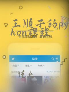 王顺子的python课程