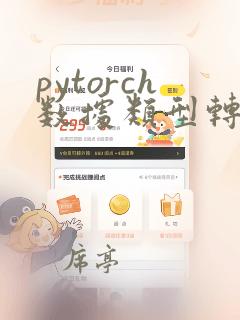 pytorch数据类型转换