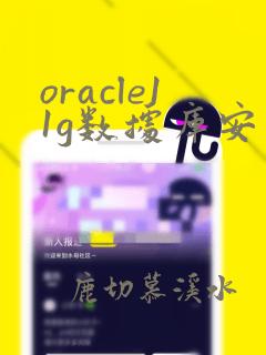 oracle11g数据库安装包