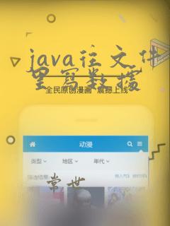 java往文件里写数据