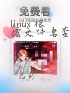 linux 根据文件名查找文件