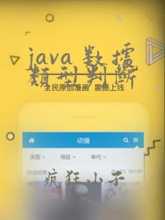 java 数据类型判断