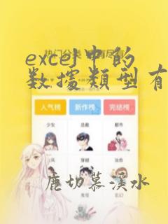 excel中的数据类型有