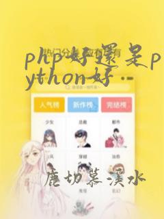php好还是python好