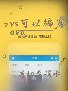 vs可以编写java