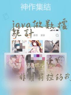 java做数据统计