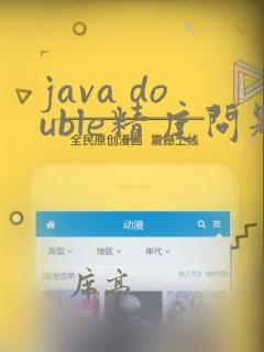 java double精度问题