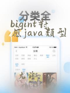 bigint对应java类型