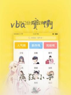vba 实例