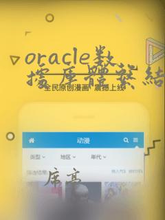 oracle数据库体系结构图