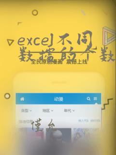 excel不同数据的个数