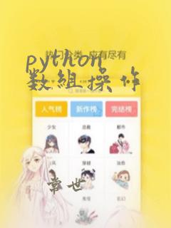 python 数组操作