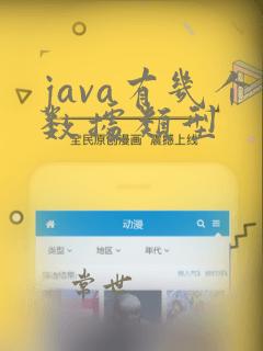 java有几个数据类型