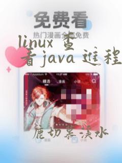 linux 查看java 进程