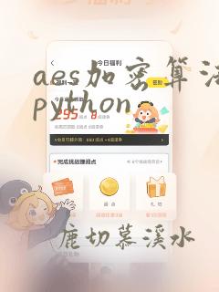 aes加密算法python