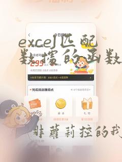 excel匹配数据的函数