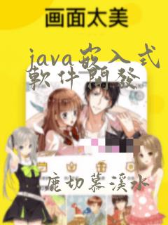 java嵌入式软件开发