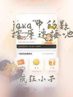 java中的数据库连接池