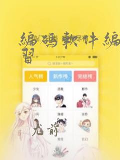 编码软件编程学习