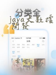 java大数据 开发