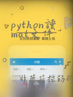 python读mat文件