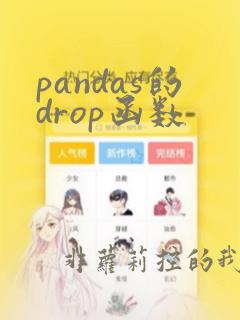 pandas的drop函数